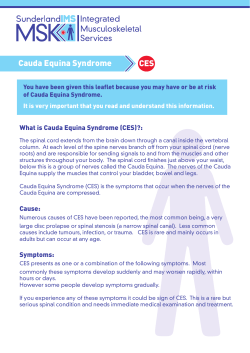 CES - Sunderland IMS