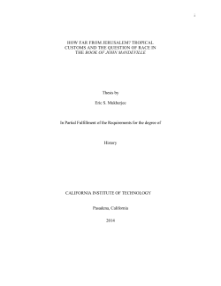 PDF (Senior Thesis)