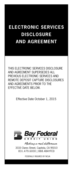 electronic services disclosure and agreement