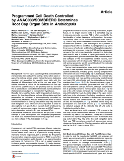 Programmed Cell Death Controlled by