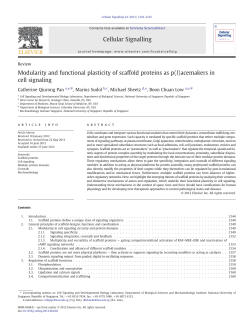 review on scaffold protein in Cellular Signalling