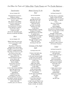 POETS GET TO SEE THE YELLOW BIRDS,