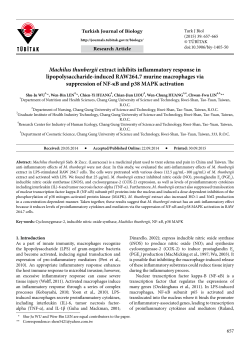 Machilus thunbergii extract inhibits inflammatory response in