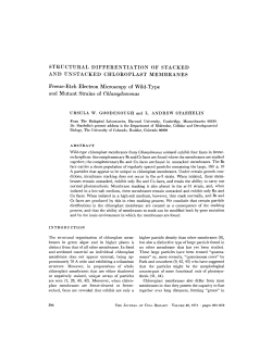 STRUCTURAL DIFFERENTIATION OF STACKED