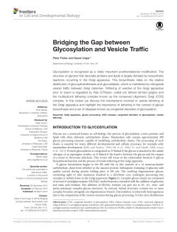 Bridging the Gap between Glycosylation and Vesicle Traffic