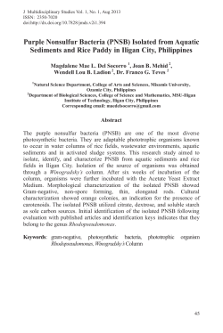 Purple Nonsulfur Bacteria (PNSB) Isolated from Aquatic Sediments