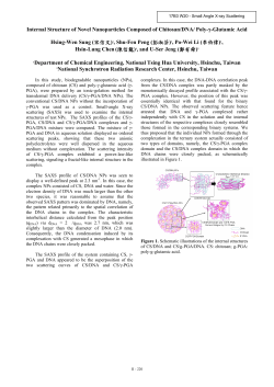 Internal Structure of Novel Nanoparticles Composed of Chitosan/DNA