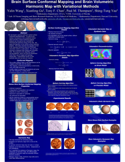 Brain Surface Conformal Mapping and Brain