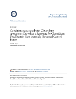 Conditions Associated with Clostridium sporogenes Growth as a