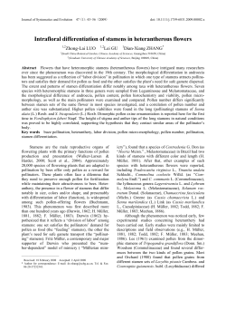Intrafloral differentiation of stamens in heterantherous flowers
