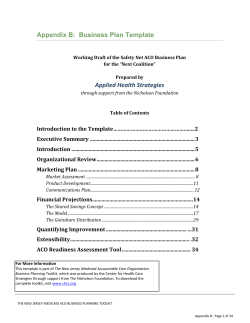 Appendix B: Business Plan Template Applied Health Strategies