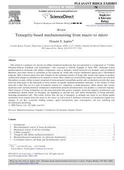 Ingber Prog Biop Mol Bio 2008