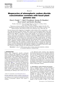 Megacycles of atmospheric carbon dioxide concentration correlate