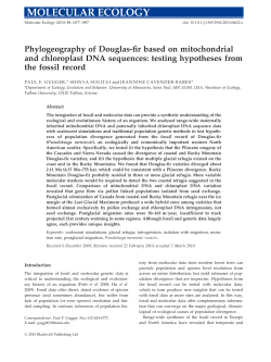 Phylogeography of Douglas-fir based on mitochondrial and