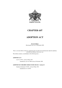 CHAPTER 4.07 ADOPTION ACT