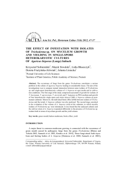 THE EFFECT OF INFESTATION WITH ISOLATES OF Trichoderma