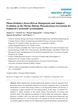Photo-oxidative stress-driven mutagenesis and adaptive evolution
