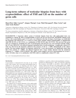 Long-term cultures of testicular biopsies from boys with