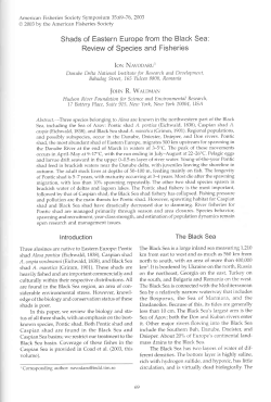 Shads of Eastern Europe from the Black Sea: Review of Species