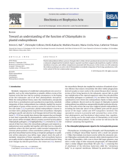 Toward an understanding of the function of Chlamydiales in plastid