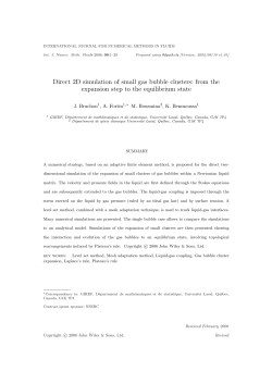 Direct 2D simulation of small gas bubble clusters: from the