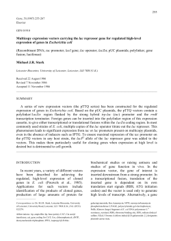 Multicopy expression vectors carrying the lac repressor