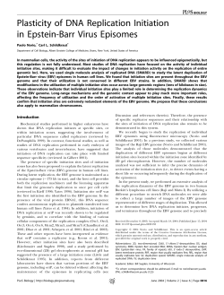Plasticity of DNA Replication Initiation in Epstein