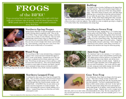 a guide to the frogs of the BFEC