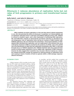Mitomycin C reduces abundance of replication forks but not rates of