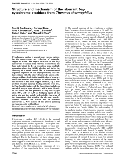 Structure and mechanism of the aberrant ba3