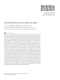 Anaerobic Biooxidation of Fe(II) by Dechlorosoma suillum