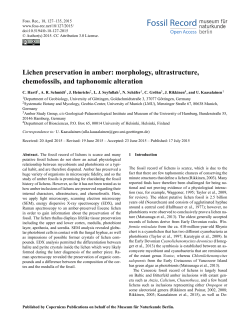Lichen preservation in amber: morphology, ultrastructure