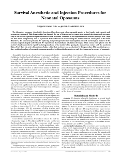 Survival Anesthetic and Injection Procedures for