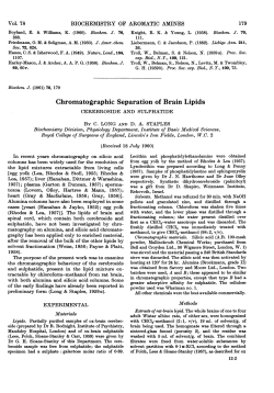 Chromatographic Separation of Brain Lipids