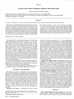 The Role of the Cuticle in Resistance of Beans to Rhizoctonia solani