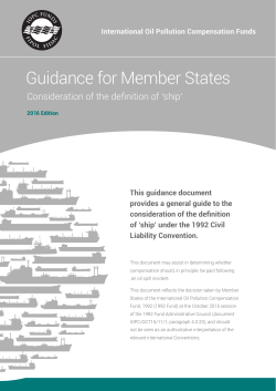 Guidance for Member States Consideration of the Definition of