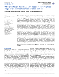 fMRI orientation decoding in V1 does not require global maps or