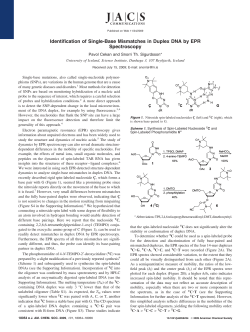 Identification of Single-Base Mismatches in Duplex DNA by EPR