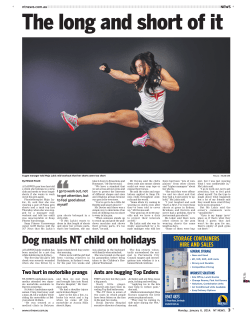 Dog mauls NT child on holidays