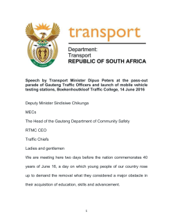 Speech by Transport Minister Dipuo Peters at the pass