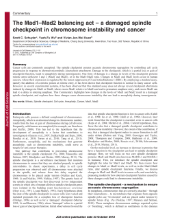 The Mad1&ndash;Mad2 balancing act &ndash; a damaged spindle checkpoint in