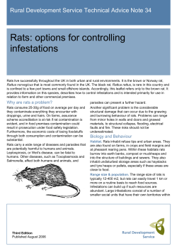 Rats: options for controlling infestations