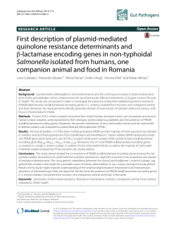 First description of plasmid-mediated quinolone resistance