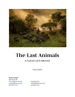 The Last Animals