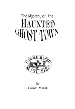 MY_RKRP_Ghosttown_7.10.08.qxd:Jamestown Mystery