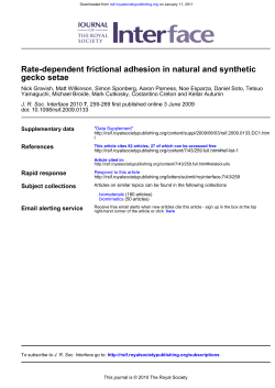 gecko setae Rate-dependent frictional adhesion in natural and