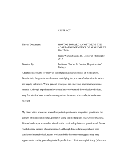 Stearns_umd_0117E_16378 - DRUM