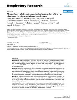 Myosin heavy chain and physiological adaptation of the rat