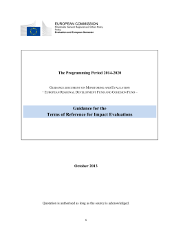 Guidance for the Terms of Reference for Impact Evaluations