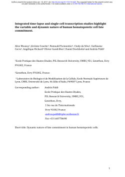 Integrated time-lapse and single-cell transcription studies